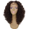 LUXLUXE Precious Curly Curly 17 in Long Lace Front Wig,