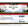 Black Currant Leaf Salve (2 oz, ZIN: 523892) - 2