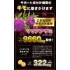 お酒のプロも飲むサプリ お試し版 ヘパプラス 20粒 サプリメント