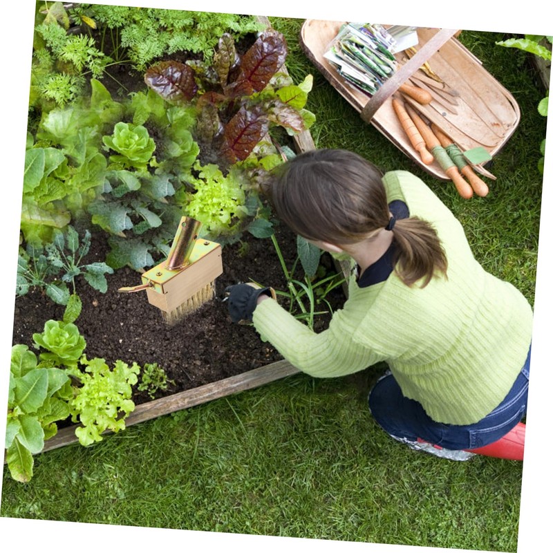 BESTonZON 2pcs Wire Grass Weeding Tool Moss Removal Brush Weeding