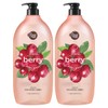 Shower Mate 샤워메이트 크랜베리 바디워시, 1.2kg, 2개 Shower Mate Cranberry