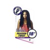 MULTI PACK DEALS! Sensationnel Crochet Braids Lulutress Passion Twist 18"
