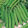 Suttons - Pea Seeds - Hurst Greenshaft