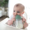 Dr. Brown's Milestones, Baby's First Straw Cup Sippy Cup with