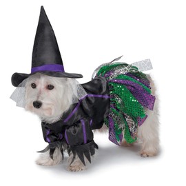 Zack & Zoey Scary Witch Costume for Dogs, 20"/Large