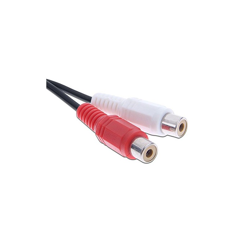 axGear 3.5mm Stereo Male Jack to 2 RCA Female Plug