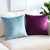 Artscope Luxury Velvet Pillow Covers Super Soft Decorative Square Throw