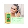 Champú De Batana Con Aceite De Romero Para Reducir La