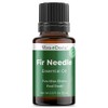 Viva Doria Fir Needle Essential Oil, 100% Pure, Natural Essential