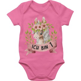 Shirtracer - Baby Bodysuit Boy Girl - 1st Birthday - I'm One with Cute Horse with Flowers, 1 Pink, 12 - 18 months
