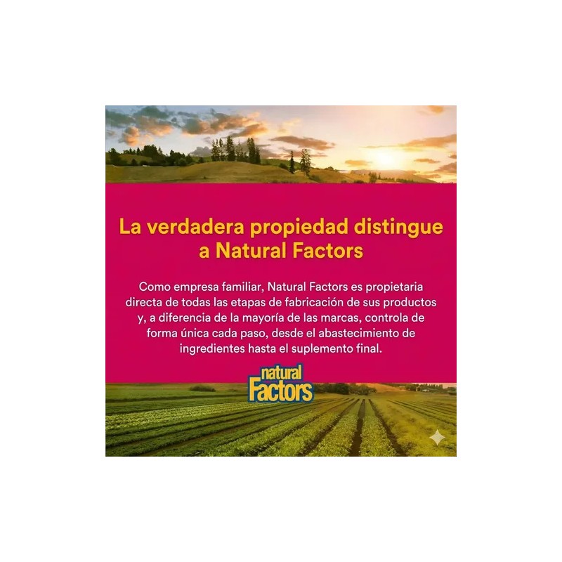 Bisglicinato De Zinc 50mg 60 Capsulas Natural Factors Sin Sabor