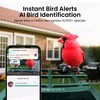 Smart Bird Feeder with Camera Solar Powered, 2K HD Video,