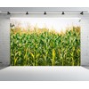 CHNYWORK 15x8ft Cornfield Backdrop Autumn Green Corn Field Corn Stalks