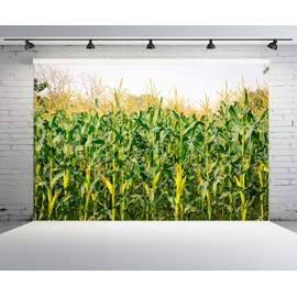 CHNYWORK 15x8ft Cornfield Backdrop Autumn Green Corn Field Corn Stalks Countryside Corn Farm Harvest Fall Scenery Background Fall Harvest Party Decor Photo Booth Studios Props Wallpaper