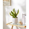 vancasso 6 Inch Ceramic Plant Pots, Planters with Drainage Hole,