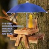 Gnodary Squirrel Feeder with Umbrella, Squirrel Feeders for Outside, Squirrel