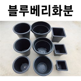 5 blueberry flower pots, rubber flower pot, large flower pot, 5 small blueberry flower pots / 블루베리화분 5개 화분 고무화분 대형화분 큰화분, 블루베리화분 소 5개