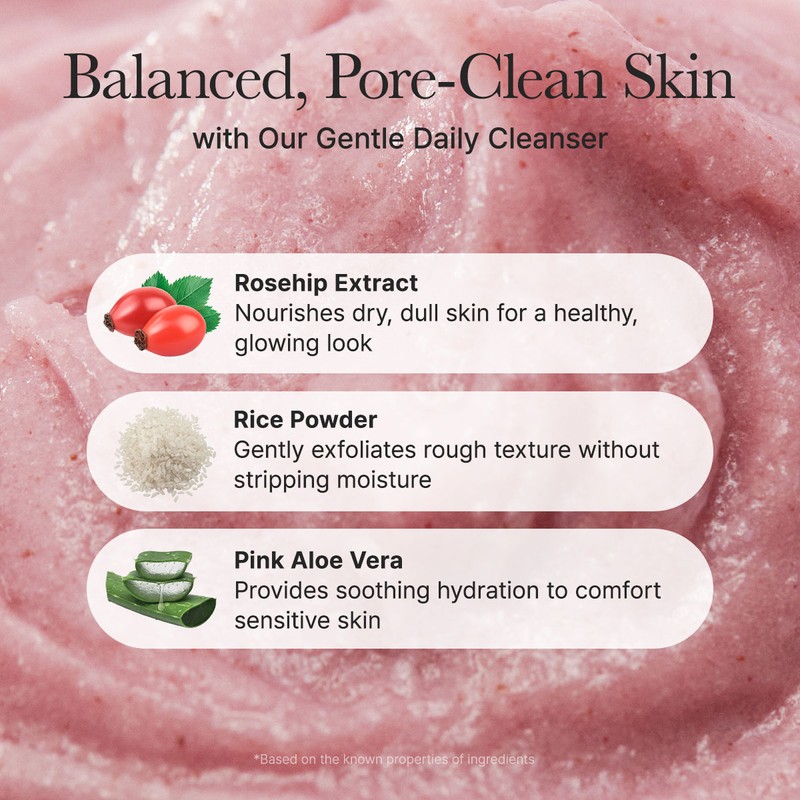ARENCIA [ARENCIA]*renew* Fresh Rosehip Rice Mochi Cleanser 120g
