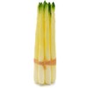 Fake Asparagus Bunch with 8 Sticks Dummy Plastic Decoration Food