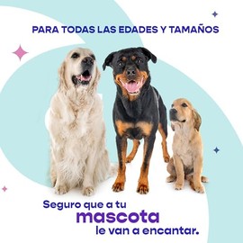 Bully Bites  Puntas de Carne  Tamaño de 2 a 3 Pulgadas  Premios para Perro  Carne 100 Natural  para Todo Tipo de Perro (520 Gramos)                   