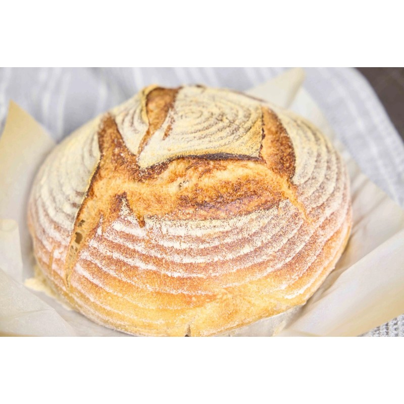 Heritage Sourdough Sourdough Starter DEHYDRATED Organic 175+ Year Old Italian