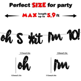 Oh I’m 10! Banner Backdrop Glitter Black Hallo Ten Cheers to 10 Years Old Theme Decor for Boy Girl Happy 10th Birthday Party Photo Studio Prop Flag Decorations Favors Supplies