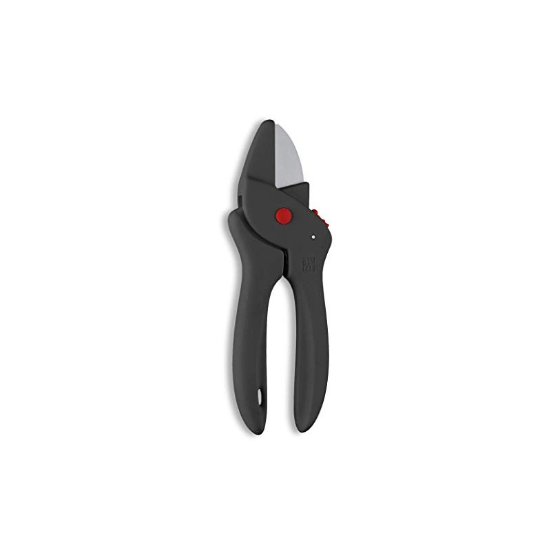 Zwilling J.A. Henckels 40661-000 Zwilling Flower Cutting Scissors, Flower Ikebana