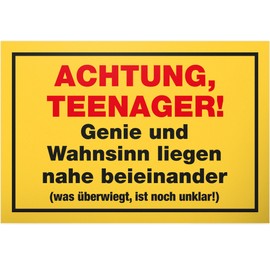 DankeDir! Teenager - Plastic Sign 30 x 20 cm - Gift Idea Teenie Saying Room Door Sign Boys & Girls Teenagers Room - Decoration Gift Idea Teenagers Door Decoration Birthday