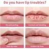 Black Honey Lipstick, Tinted Lip Balm, Moisture Shine Lipstick (Pink)