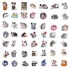 50Pcs Cute Rat Stickers Opossum Sticker Pack for Water Bottles,