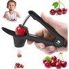 Cherry Stoner, Cherry Stone Remover, Portable Cherry Pitting Tool, Perfect