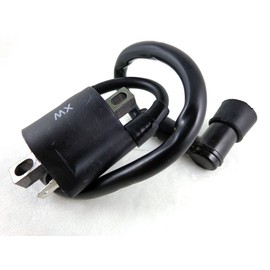 Ignition Coil for Polaris Trail Blazer 250 330 440 Trail Boss 250 330 350L