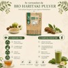 Organic Haritaki Powder | Terminalia Chebula Fruit Powder from India