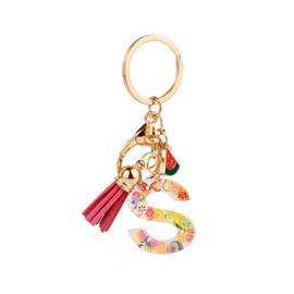 ORUZA Alphabet Initial Letter Keychain, Resin Letter Key Ring with Fruit Tassel Pendant Initial Letter Keyring for Women Girls Handbag Wallet Purses Letter S