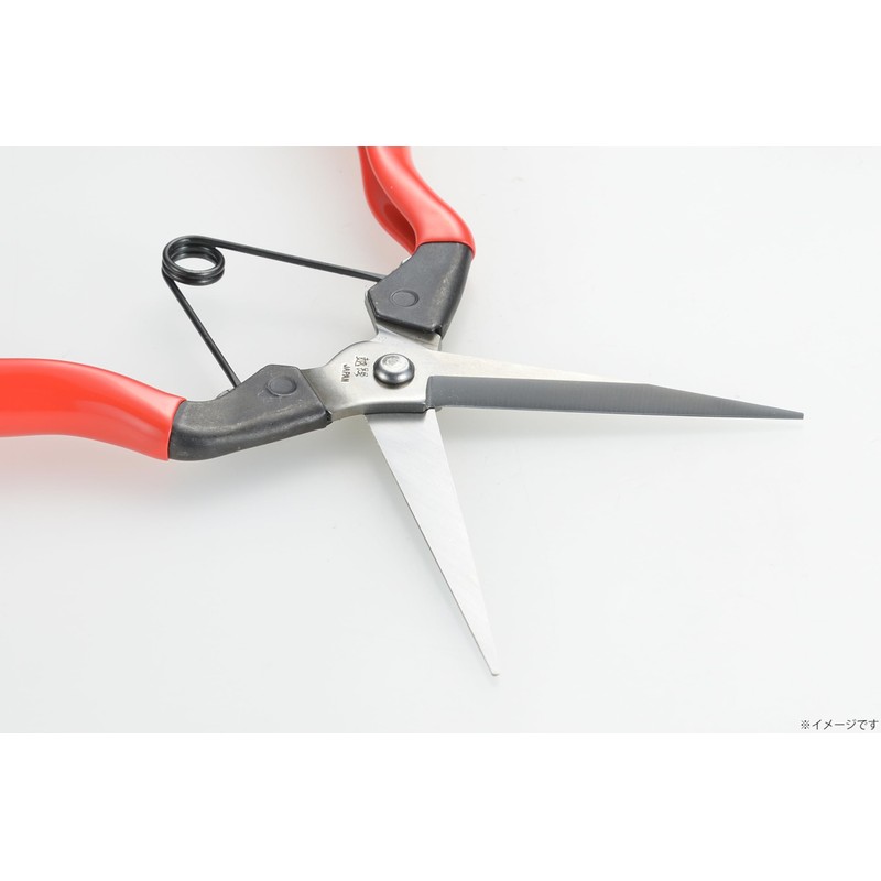 Takagi Koshiji×TAKAGI Stainless Steel Blade Long Bud Cutting/Fruit Thinning Shears