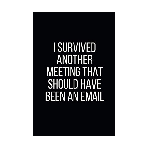 I Survived Another Meeting That Should Have Been An Email:
