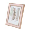 FUJICOLOR 506369 Pastel Color Frame, 11.8 gal (3002 L), Large,