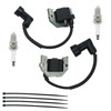 2 Pack of Ignition Coil Module for Toro TimeCutter Series