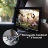DenyDan 10 inch Portable TV, Widescreen Monitor for Bus/Truck/Car, Adapter