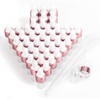 Easeen Sample Dropper Bottles, Mini Dropper Bottles with 2 Pcs