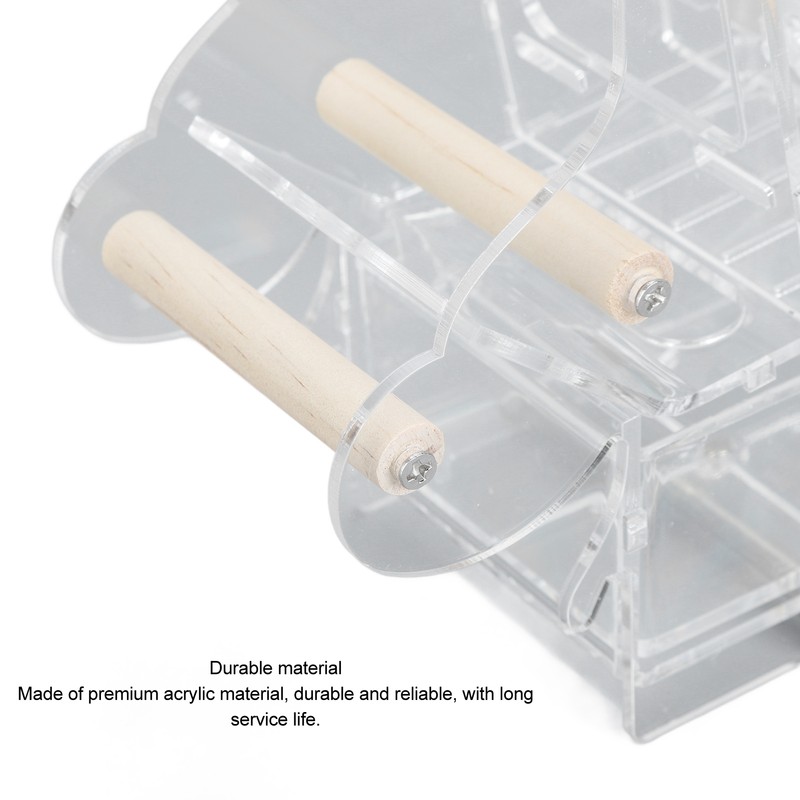 Automatic Parrot Feeder Prevent Spillage and Splashing Easy Installation Acrylic
