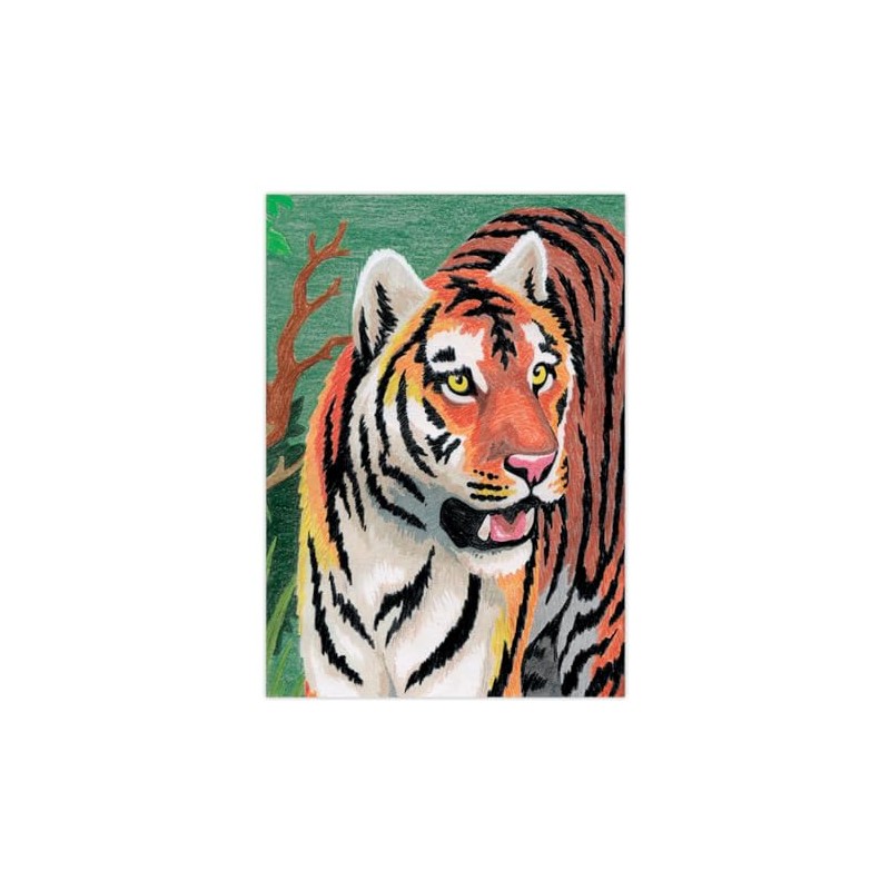 Darice Mini Color Pencil by Number Kit 5" x 7"-Jungle
