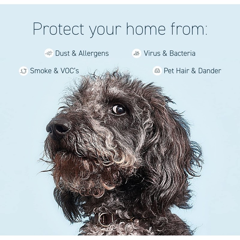 HATHASPACE HARMONY 1500 H13 True HEPA Filter Replacement for HSE1500