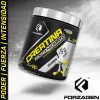 Forzagen Pote de Creatina Monohidrato 400g 80 Servicios 100% Pureza