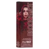 Pulp Riot Semi-Permanent Hair Color Shadow Collection 118ml - Bloodshot