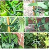 zalati Plant Clips 60pcs Climbing Plant Supports Holders for Flower