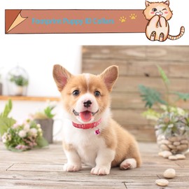 19 PCS Puppy ID Collars Footprint Puppy Collars Puppy Collars with Bell Adjustable Puppy Collars Cat Head Shape Safety Buckle Collars Newborn Puppy Puppy Cat Collars