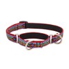 Martingale Dog Collar by Lupine 3/4" wide El Paso design