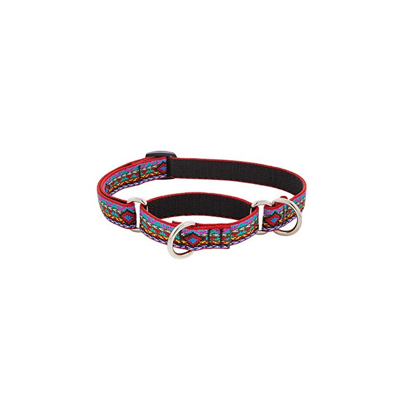 Martingale Dog Collar by Lupine 3/4" wide El Paso design