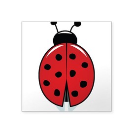 CafePress Red Ladybug Sticker Square Bumper Sticker Car Decal